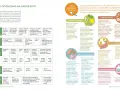 Lista produktów keto: od awokado po jajka, wszystko, co potrzebne do keto diety.