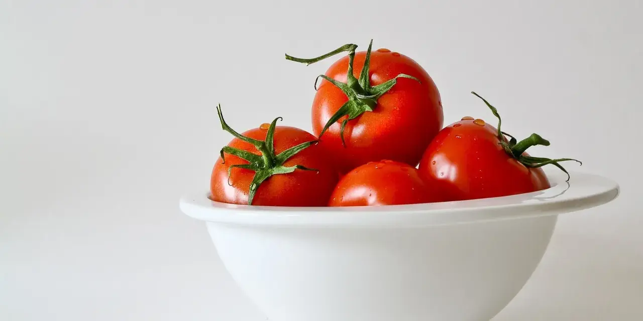 Kilka soczystych pomidorów w białej misce. Zastanawiasz się, ile węglowodanów ma pomidor?