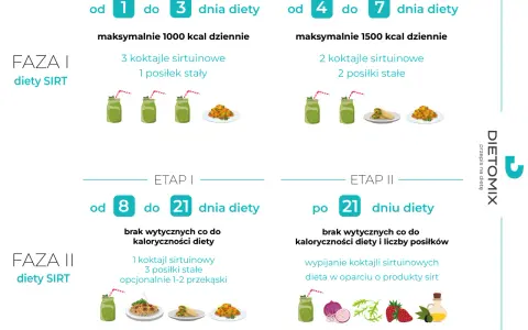 Dieta sirt przepisy: Faza I i II, etapy z koktajlami sirtuinowymi i posiłkami stałymi.