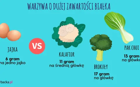 Tabela porównująca zawartość białka w jajkach i warzywach: brokuły, kalafior, pak choi. Produkty zawierające dużo białka to m.in. brokuły (17g/główkę).
