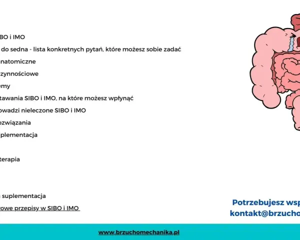 Ilustracja przedstawia cierpiący układ pokarmowy, symbolizujący problemy takie jak SIBO. Dowiedz się, co to jest SIBO i jak sobie z nim radzić.