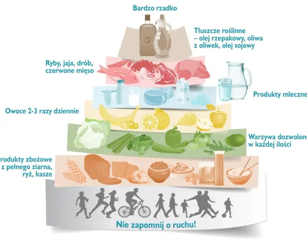 Piramide żywienia: warzywa, owoce, produkty zbożowe, nabiał, ryby, chude mięso, tłuszcze. Dieta po zawale i stentach przepisy powinny uwzględniać te zasady.
