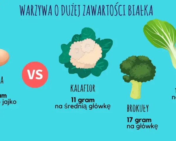 Tabela porównująca zawartość białka w jajkach i warzywach: brokuły, kalafior, pak choi. Produkty zawierające dużo białka to m.in. brokuły (17g/główkę).