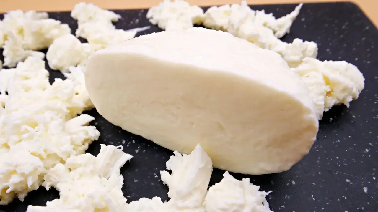 Kawałek świeżej mozzarelli otoczony postrzępionymi kawałkami sera. Czy mozzarella jest lekkostrawna? Tak, jest to jeden z najlżejszych serów.