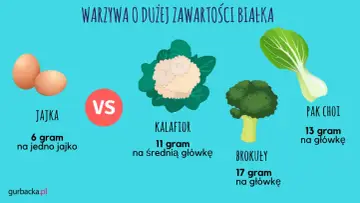 Tabela porównująca zawartość białka w jajkach i warzywach: brokuły, kalafior, pak choi. Produkty zawierające dużo białka to m.in. brokuły (17g/główkę).